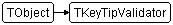 TKeyTipValidator