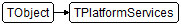 TPlatformServices