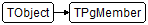 TPgMember