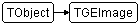 TGEImage