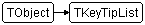 TKeyTipList