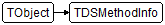 TDSMethodInfo
