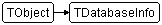 TDatabaseInfo