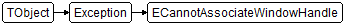 ECannotAssociateWindowHandle
