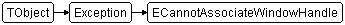 ECannotAssociateWindowHandle