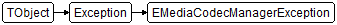 EMediaCodecManagerException