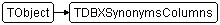 TDBXSynonymsColumns