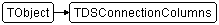 TDSConnectionColumns