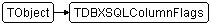 TDBXSQLColumnFlags