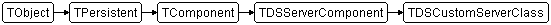 TDSCustomServerClass
