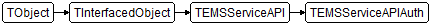 TEMSServiceAPIAuth