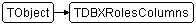 TDBXRolesColumns