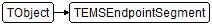 TEMSEndpointSegment