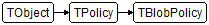 TBlobPolicy