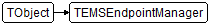 TEMSEndpointManager