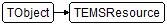 TEMSResource
