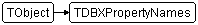 TDBXPropertyNames