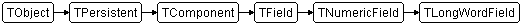 TLongWordField