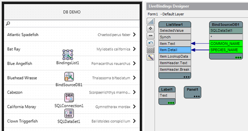 DBDemo LiveBindingsDesigner.png