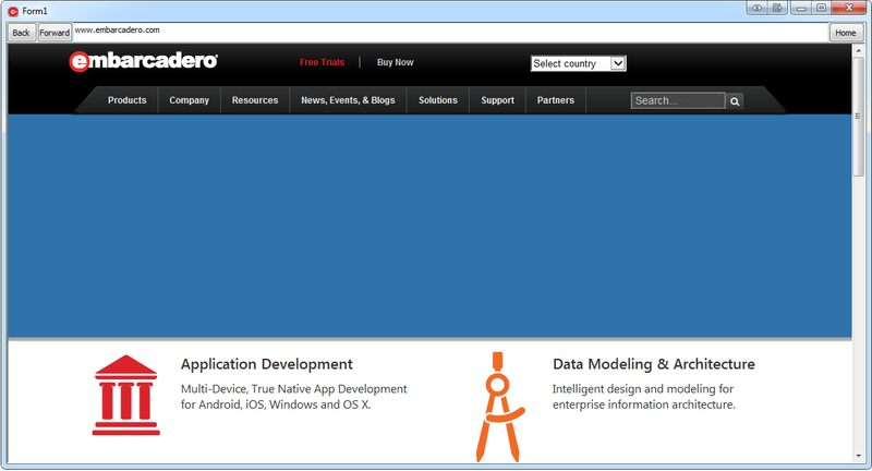 Datei:TWebBrowser RunTime.png