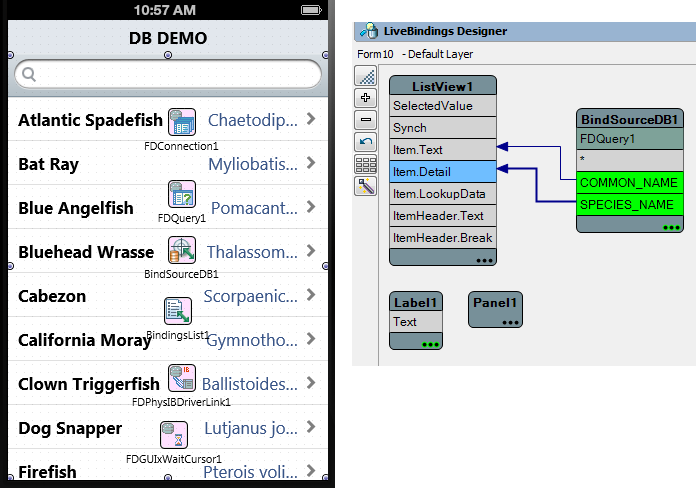 File:DBDemoDesignTime.png
