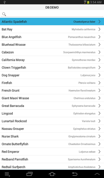 Fichier:DBDemo Runtime.png