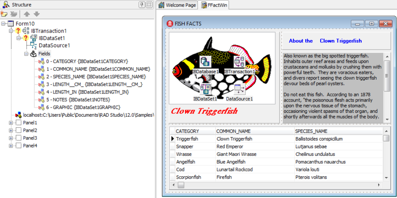 Fichier:StructureView-InterBaseExpress.png