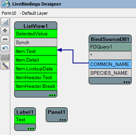 LiveBindingsDesignerCommon Name.png