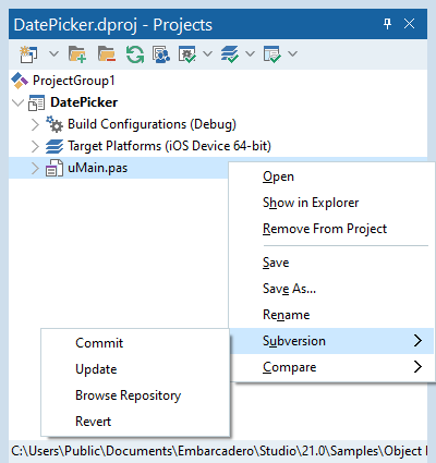Samples Repositories - RAD Studio